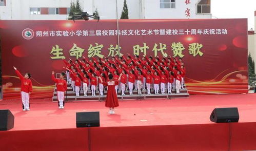 记朔州市实验小学举行第三届文化科技艺术节暨建校30周年庆祝活动 二